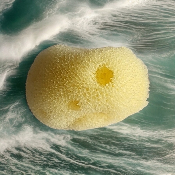 Now Available! Natural Sea Sponges Makeup Application Sponge (1) - Picture 2 of 9